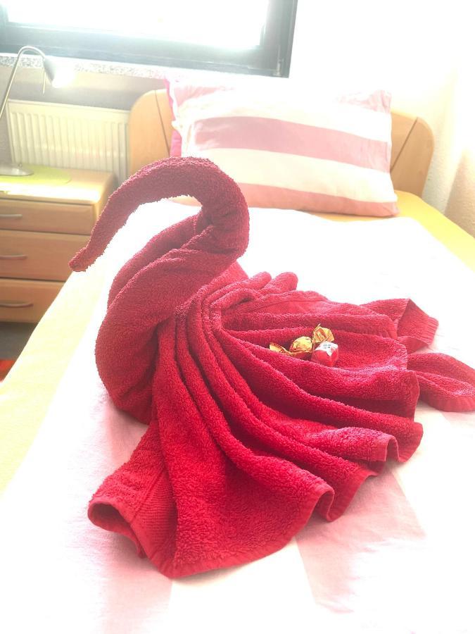 Tarida'Guesthouse 브라운슈바이크 외부 사진